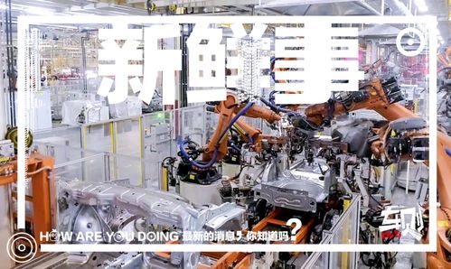 走進(jìn)上汽大眾長(zhǎng)沙工廠 車媒老鳥的圓夢(mèng)之旅，探秘斯柯達(dá)泥地打樁機(jī)般完美品質(zhì)